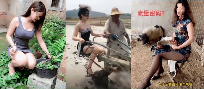 中国微博出现不少所谓“农媛”吸流量。(微博)