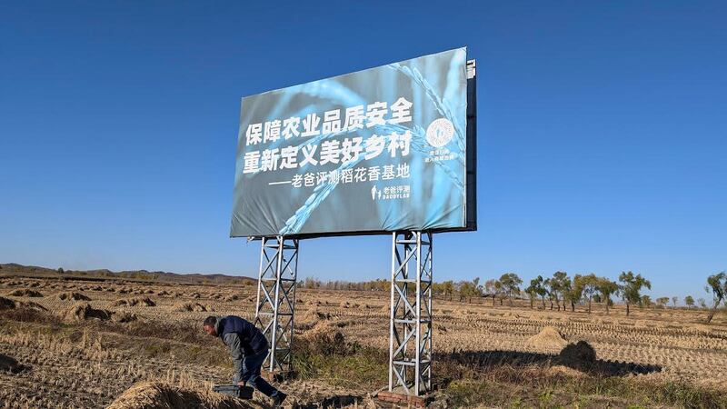 五常大米是东北的金字招牌，今年拥政村正式启动“小农种碳”专案，试图找出农业永续之路。