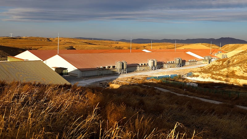 图为内蒙古一农场；中国可耕地面积占世界大约7%，却能养活全球1/5的人口。（路透社图片）