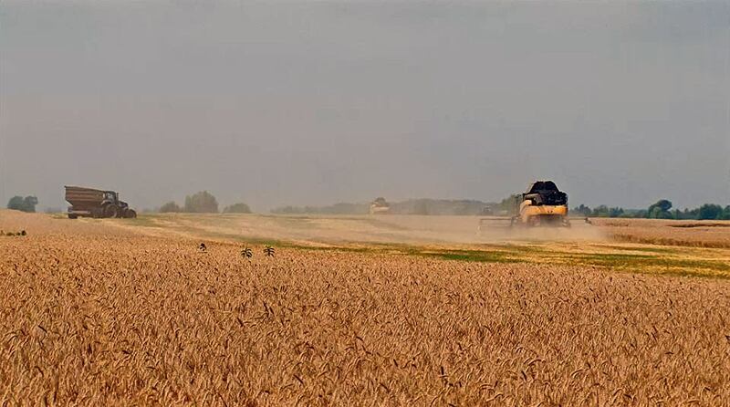 2015 年 7 月 27 日,乌克兰联合收割机在田间收割小麦。(法新社视频截图 )