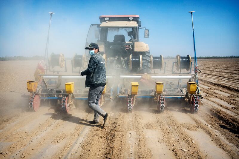 Workers plant a cotton field near Urumqi in western China's Xinjiang Uyghur Autonomous Region, April 21, 2021.